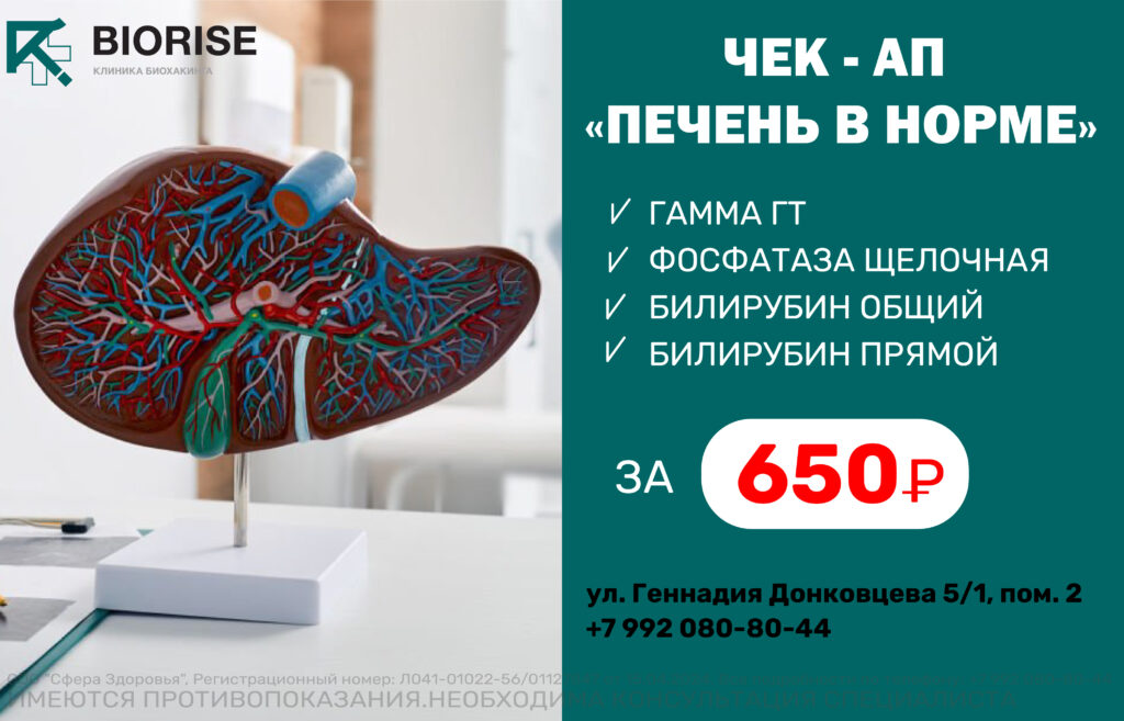 Чек-ап «Печень в норме»